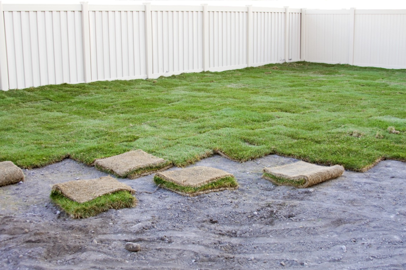 Choosing the Right Sod for Your Marietta, GA Lawn: A Comprehensive Guide