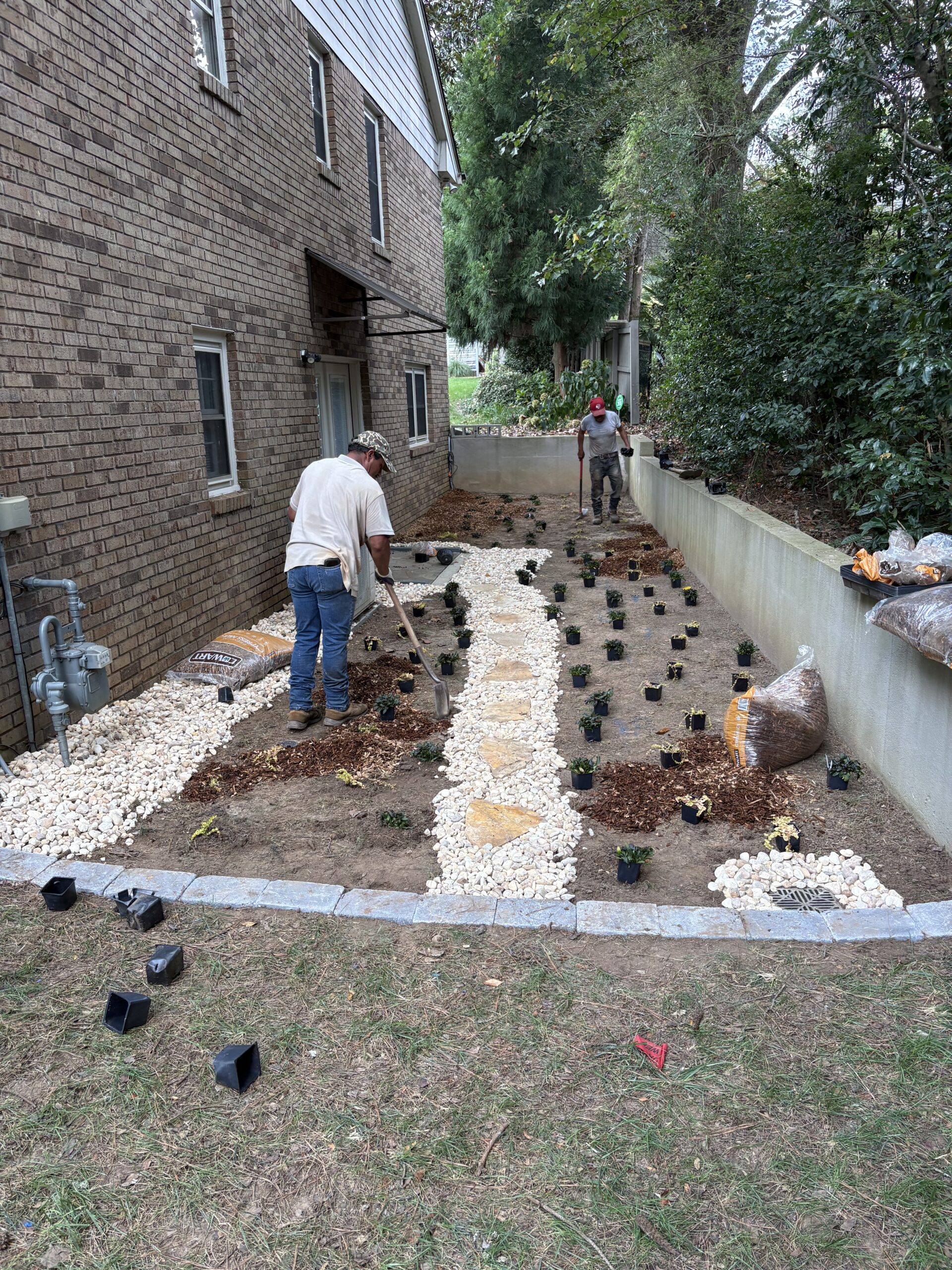 Transform Your Yard This Fall: Best Plants, Trees & Shrubs for East Cobb Landscapes