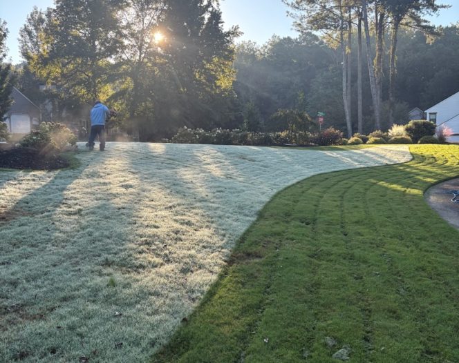 morning dew landscape GA